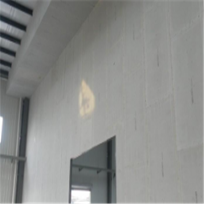 安岳宁波ALC板|EPS加气板隔墙与混凝土整浇联接的实验研讨